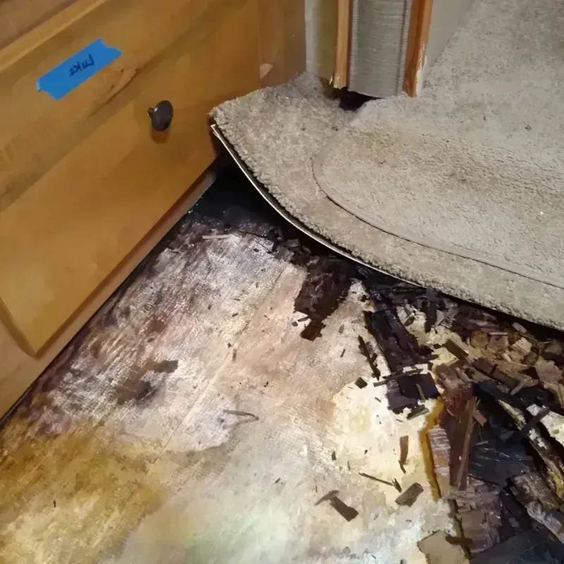 Wood Floor Water Damage in Saint Ann, MO